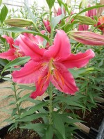 [5348 Bromley DJ No02.JPG]